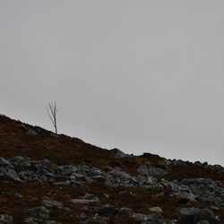 2018-11 Scotland/Pap of Glencoe/DSC_7005.JPG
